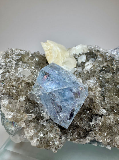 Bezaubernder Glas-Fluorit - 9cm, 351g