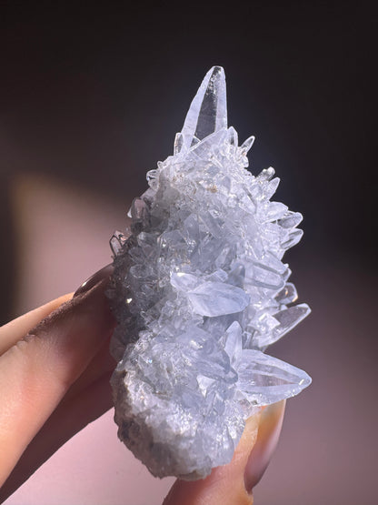 Celestin Stufe aus Madagaskar 💎 Klar & funkelnd – Kristall mit transparenten Spitzen ✨ Museumsqualität 6,5 cm
