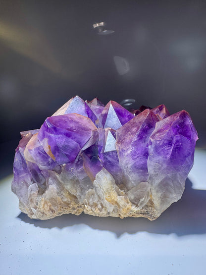 Kongo-Amethyst mit riesigen Spitzen – einzigartig & handverlesen