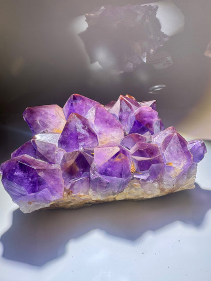 Kongo-Amethyst mit riesigen Spitzen – einzigartig & handverlesen