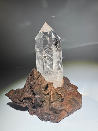 Exklusive Bergkristallspitze Kristall 16 cm auf Wurzelständer