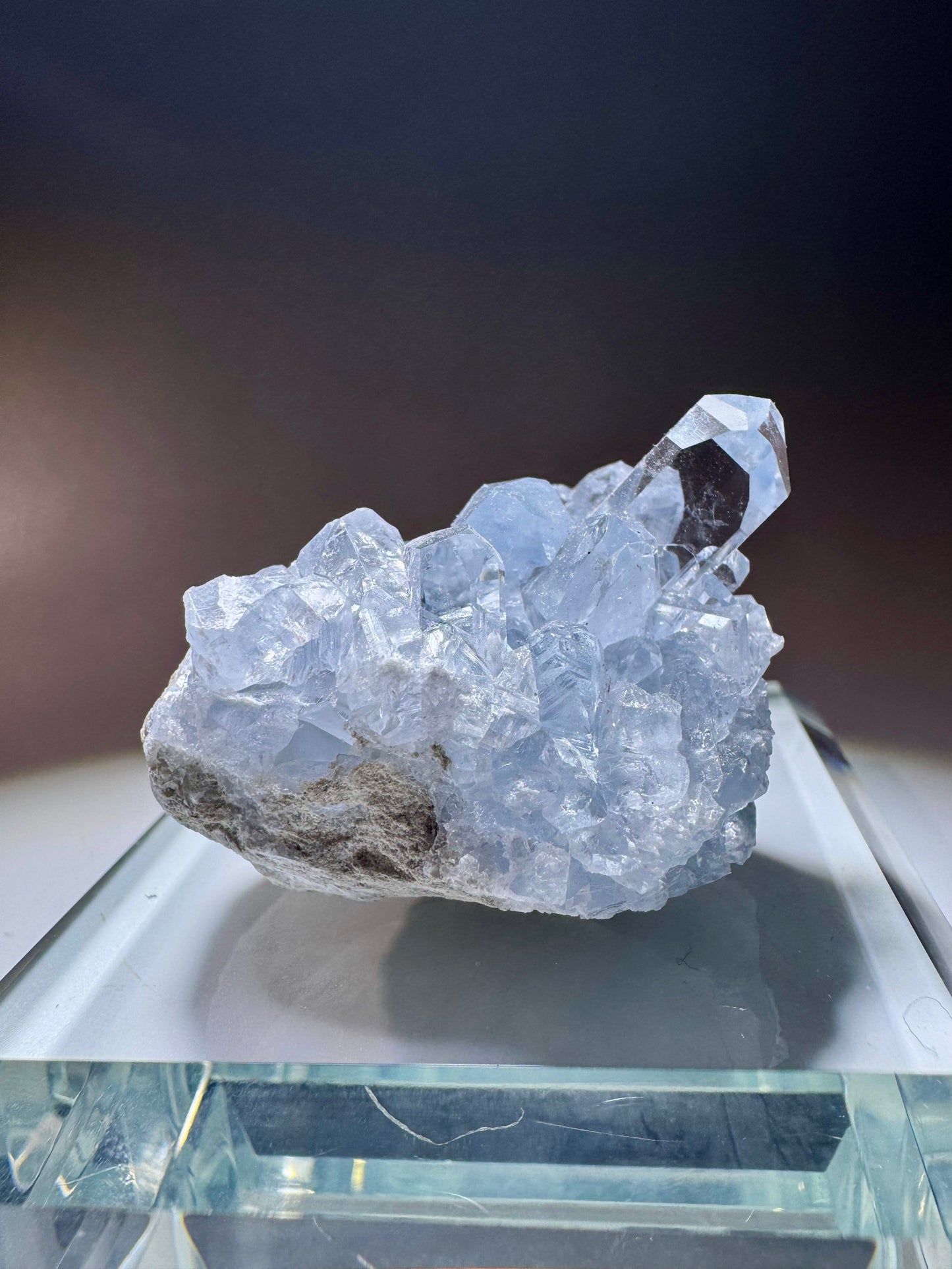 Celestin Kristall Madagaskar – klare Spitzen in Museumsqualität, 4cm