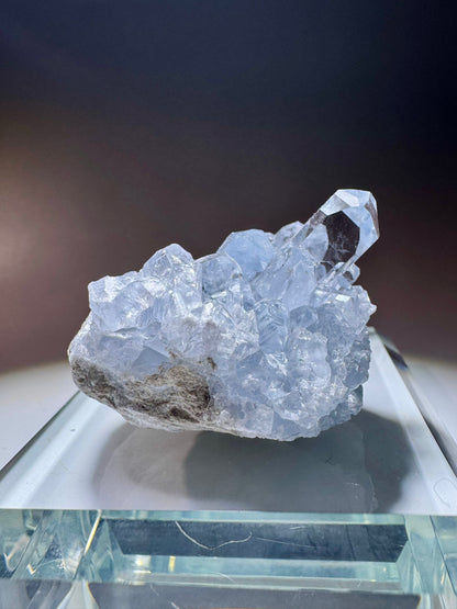Celestin Kristall Madagaskar – klare Spitzen in Museumsqualität, 4cm