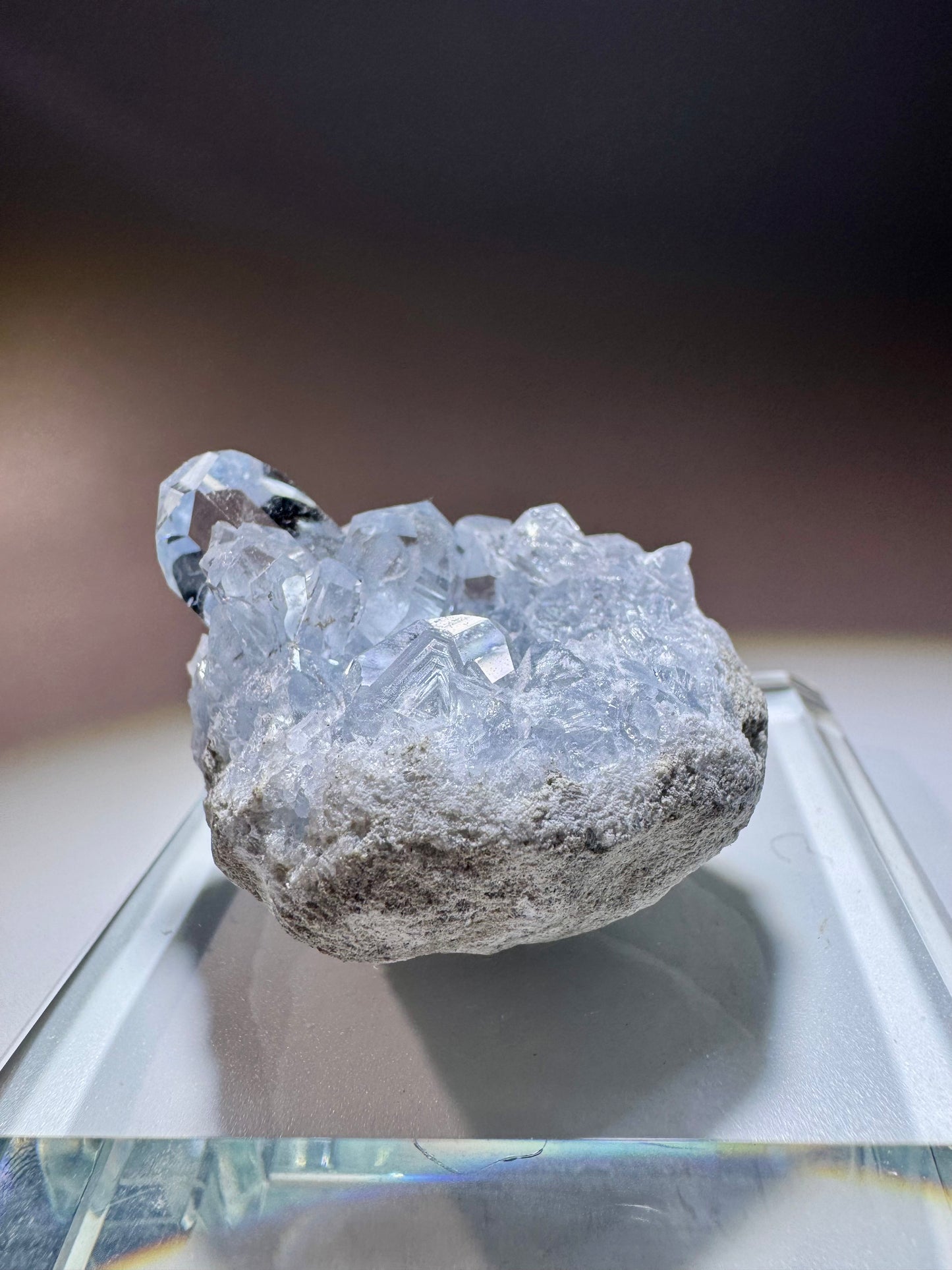 Celestin Kristall Madagaskar – klare Spitzen in Museumsqualität, 4cm