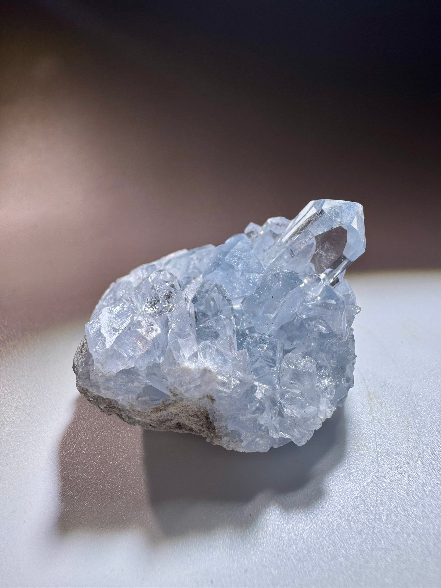 Celestin Kristall Madagaskar – klare Spitzen in Museumsqualität, 4cm
