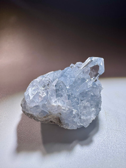 Celestin Kristall Madagaskar – klare Spitzen in Museumsqualität, 4cm