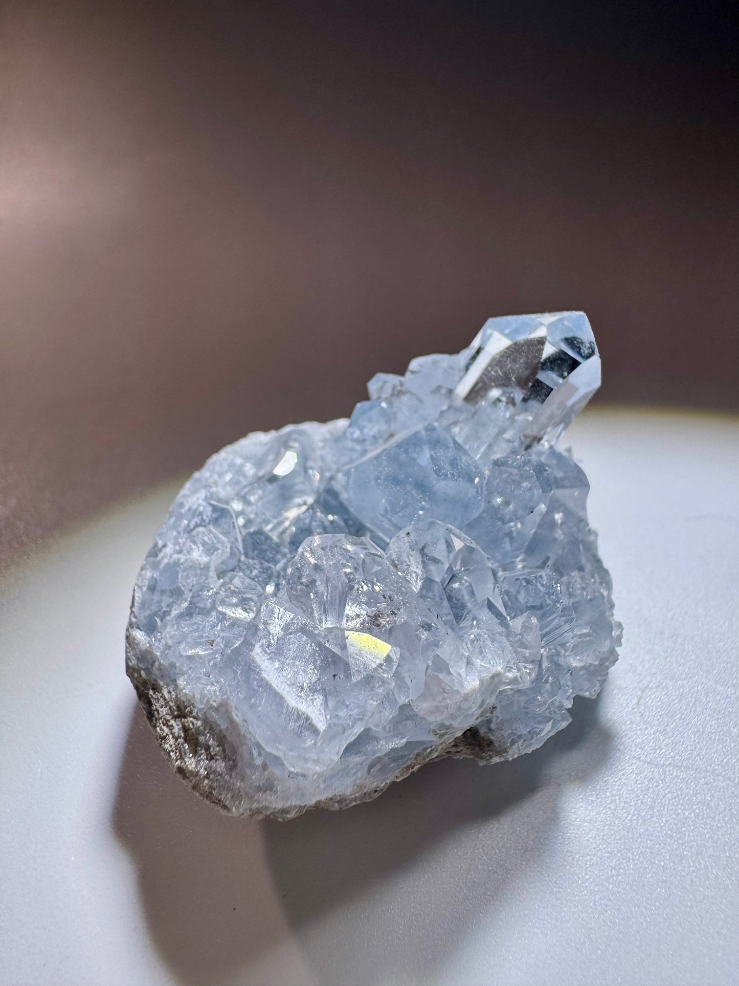 Celestin Kristall Madagaskar – klare Spitzen in Museumsqualität, 4cm