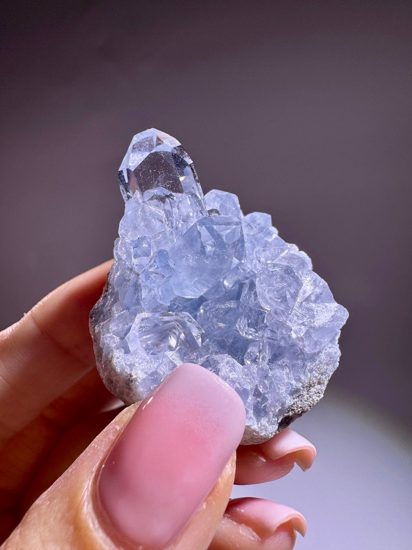 Celestin Kristall Madagaskar – klare Spitzen in Museumsqualität, 4cm