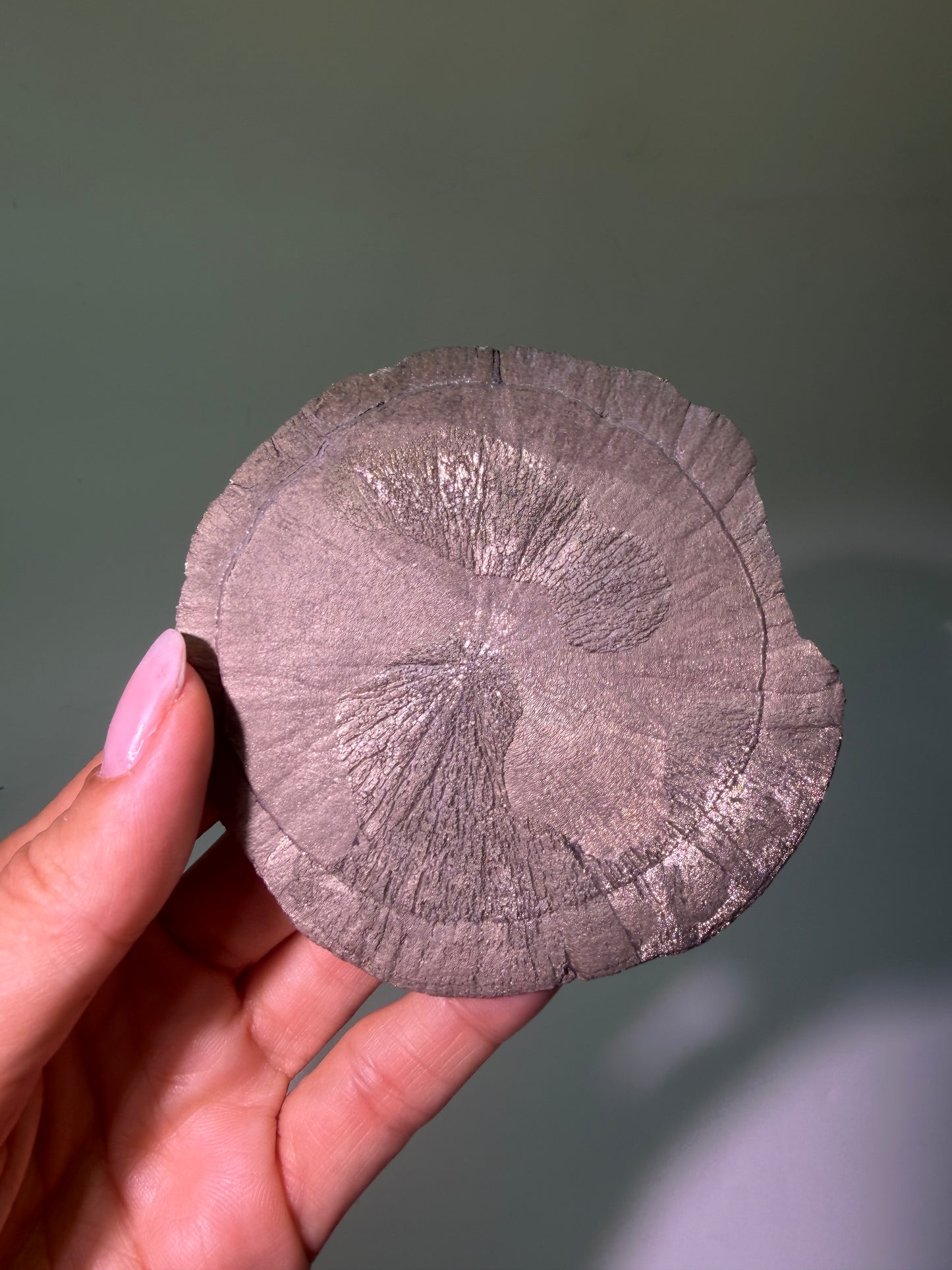 Pyrite Sun 9.7 cm – Exclusive Crystal Formation from the USA in Premium Quality