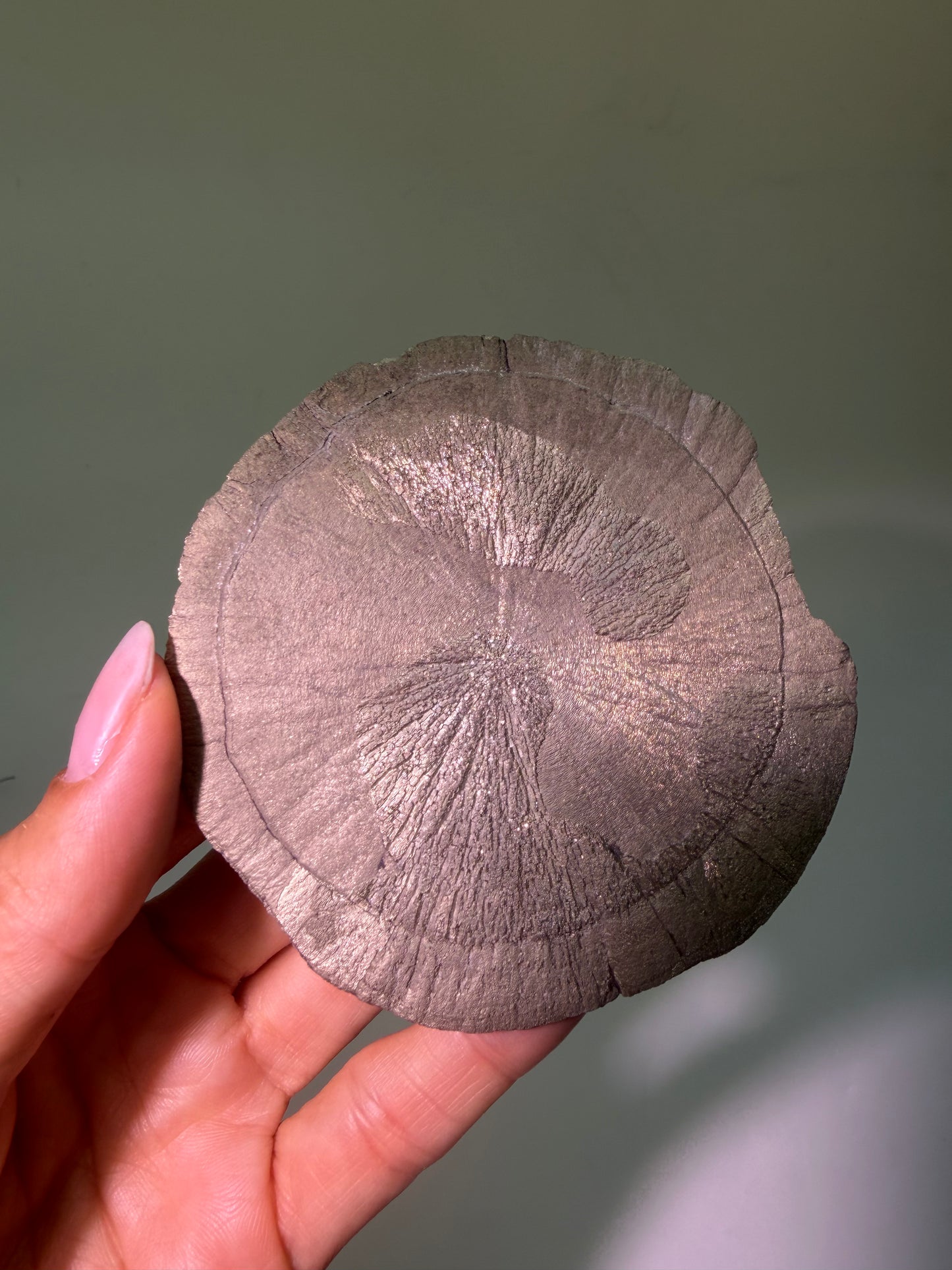 Pyrite Sun 9.7 cm – Exclusive Crystal Formation from the USA in Premium Quality