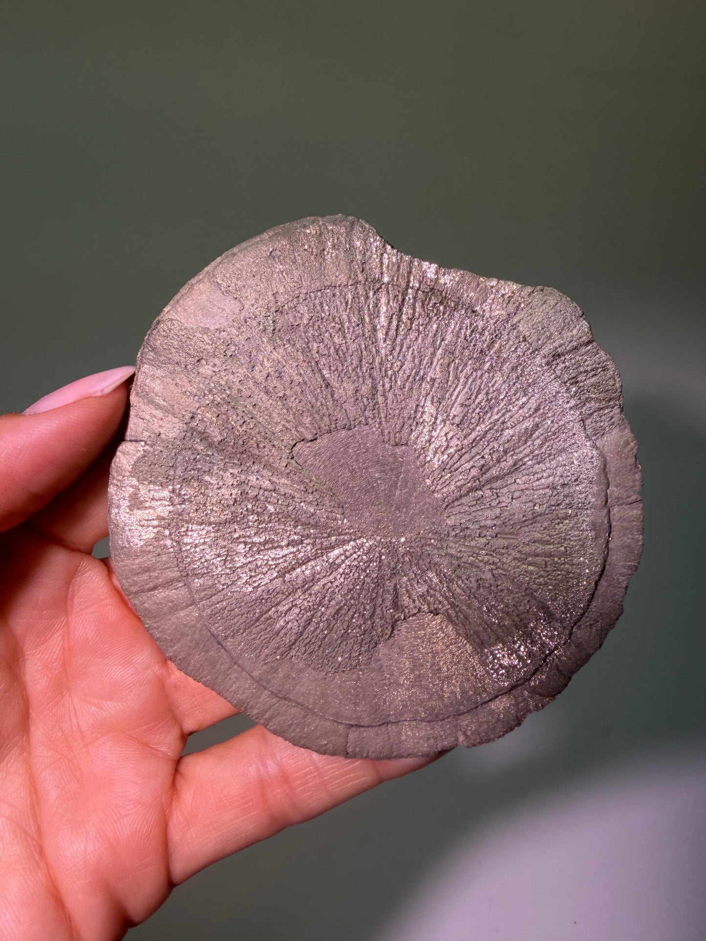 Pyrite Sun 9.7 cm – Exclusive Crystal Formation from the USA in Premium Quality