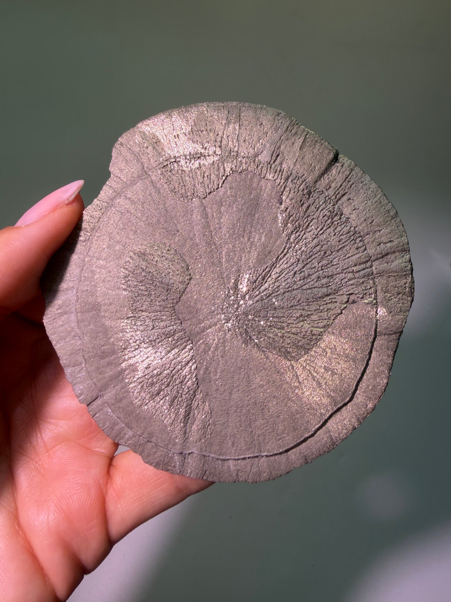 Pyrite Sun 9.7 cm – Exclusive Crystal Formation from the USA in Premium Quality