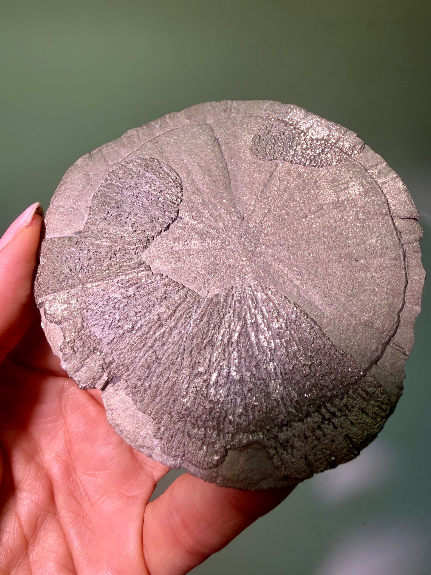 Pyrite Sun 9.7 cm – Exclusive Crystal Formation from the USA in Premium Quality