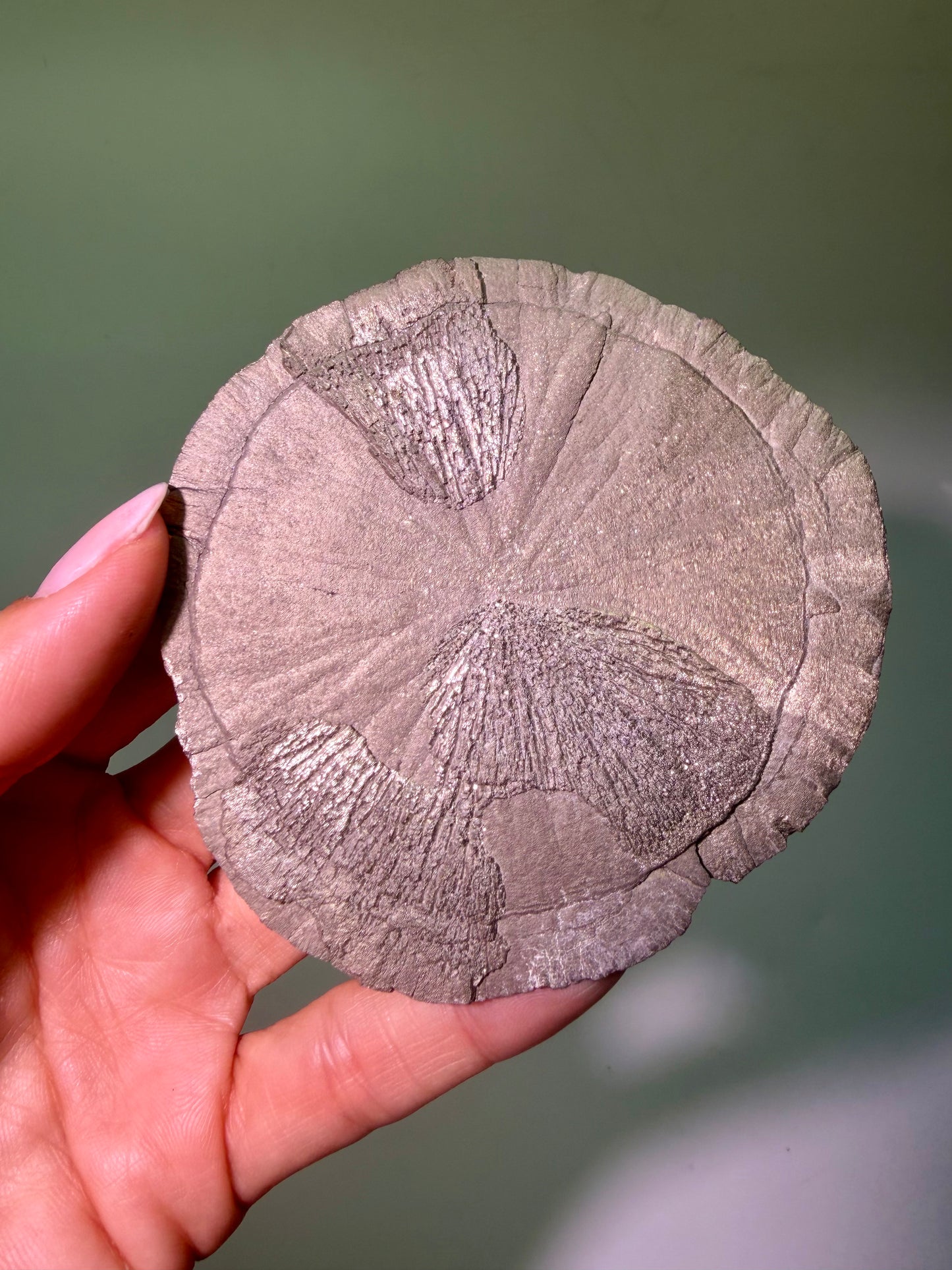 Pyrite Sun 9.7 cm – Exclusive Crystal Formation from the USA in Premium Quality