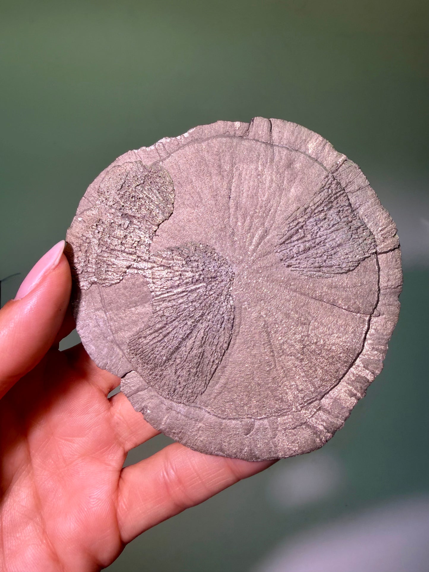 Pyrite Sun 9.7 cm – Exclusive Crystal Formation from the USA in Premium Quality