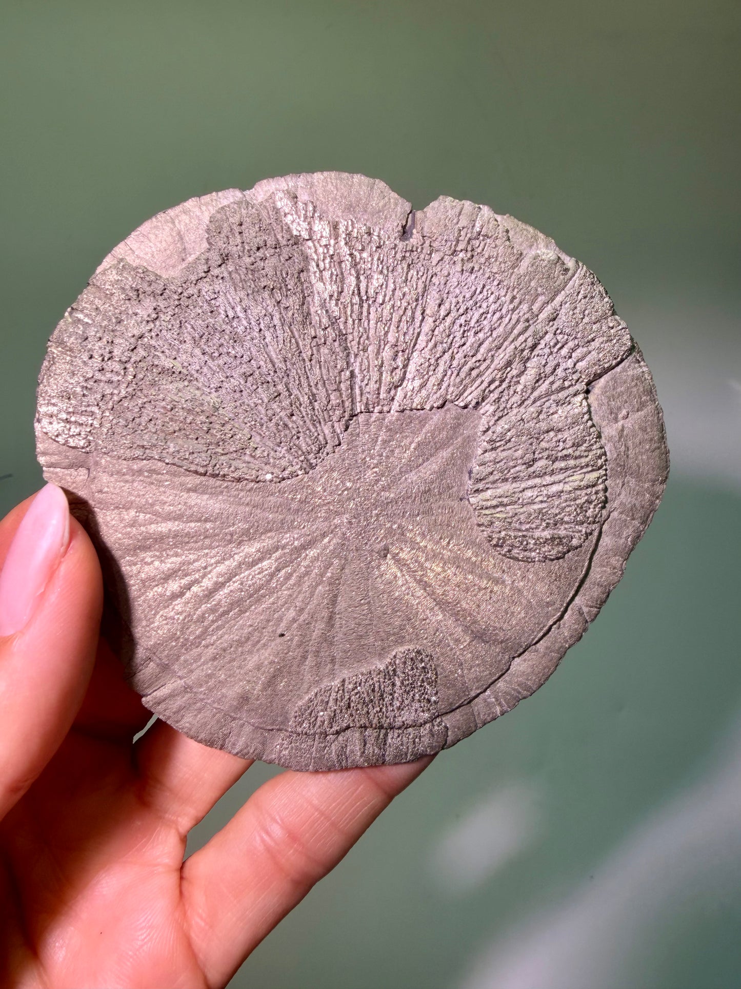 Pyrite Sun 9.7 cm – Exclusive Crystal Formation from the USA in Premium Quality