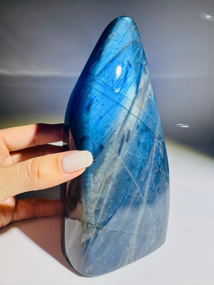 Labradorit Freeform 17 cm | Tiefblaues Traumstück aus Madagaskar