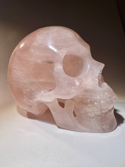 Rosenquarz Totenkopf 15 cm – Handgefertigte Kristallskulptur kaufen