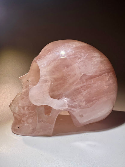 Rosenquarz Totenkopf 15 cm – Handgefertigte Kristallskulptur kaufen
