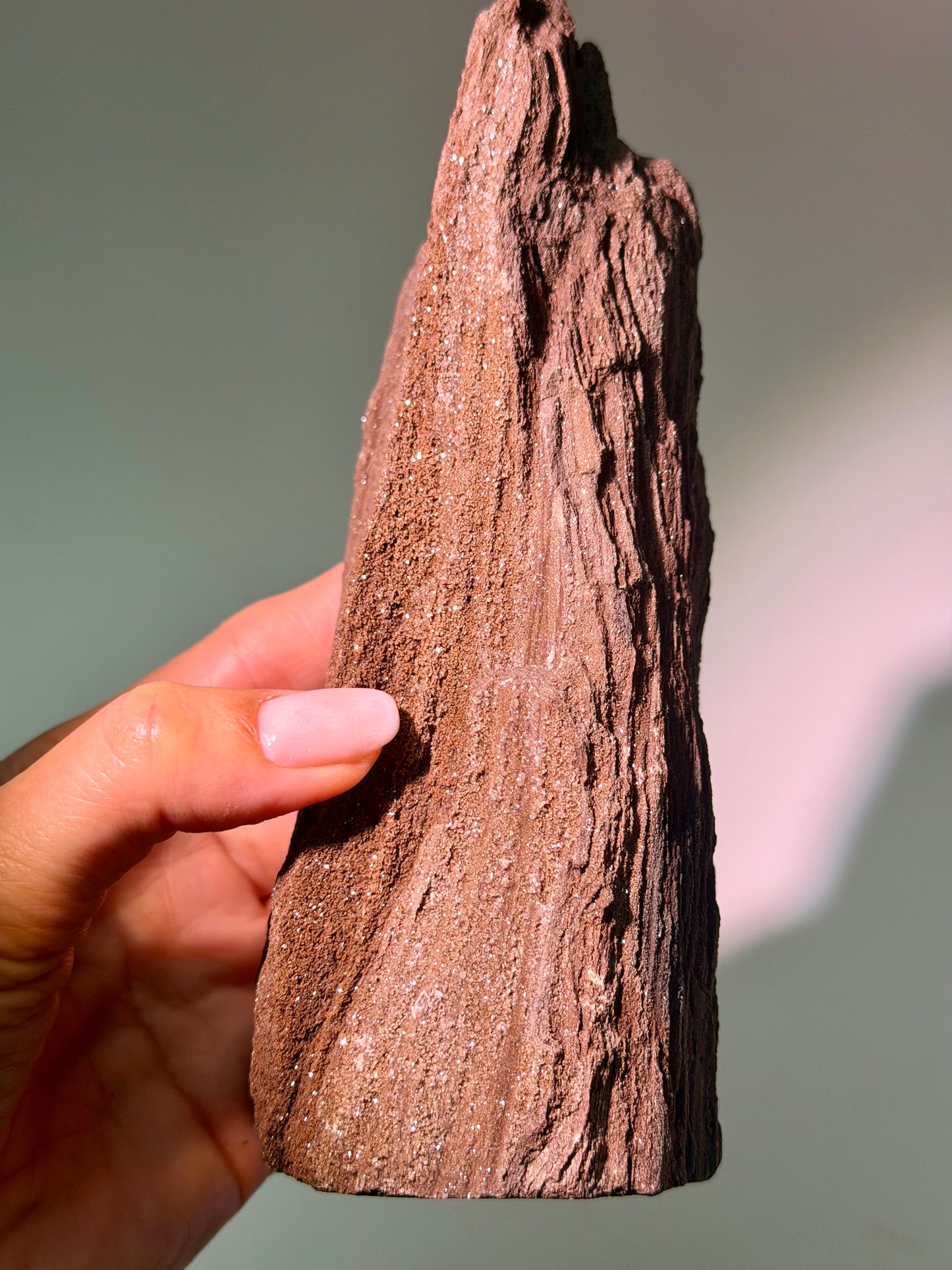 Versteinertes Holz aus Deutschland – dunkelbraunes Feenholz, 17 cm