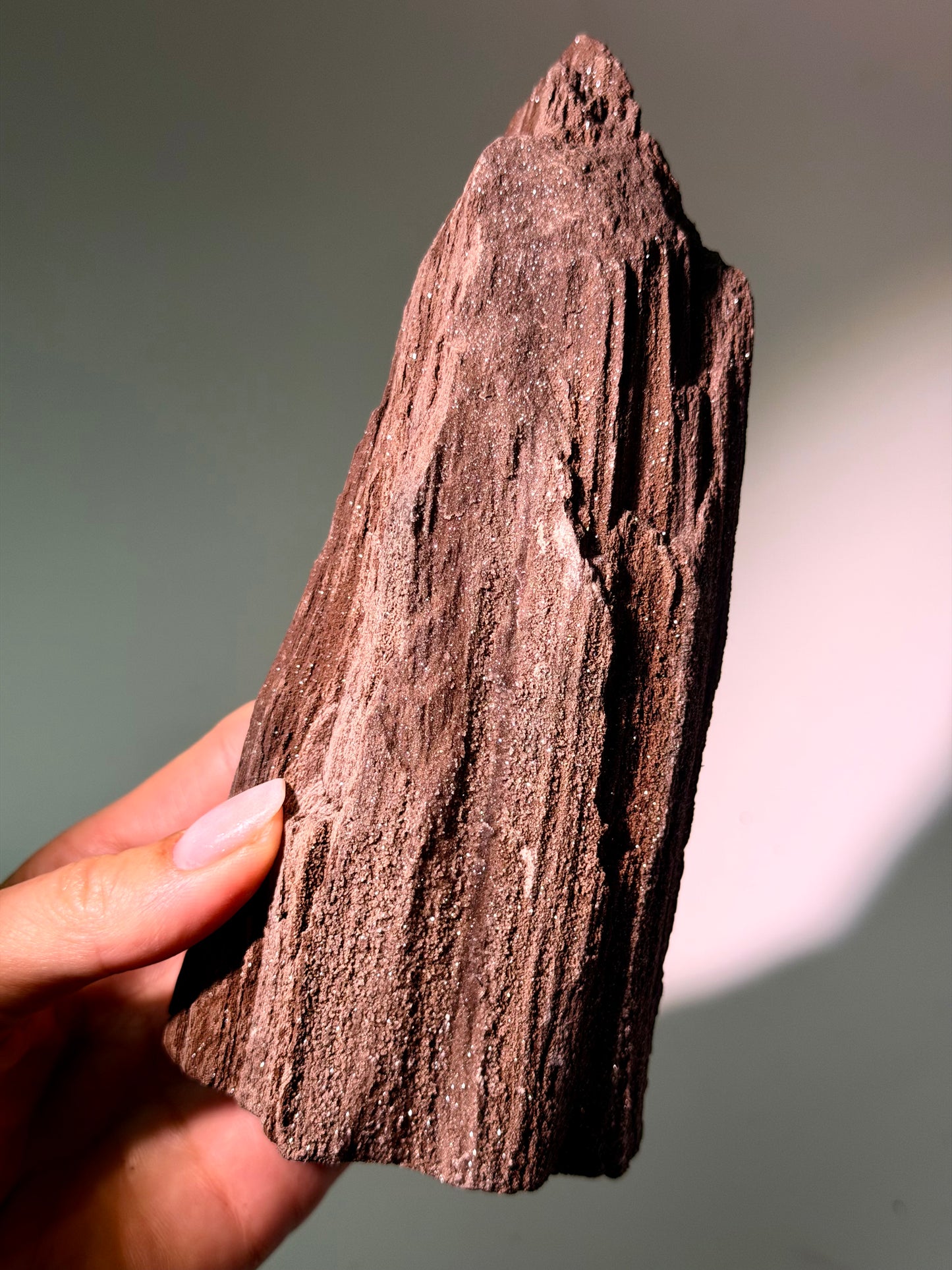 Versteinertes Holz aus Deutschland – dunkelbraunes Feenholz, 17 cm