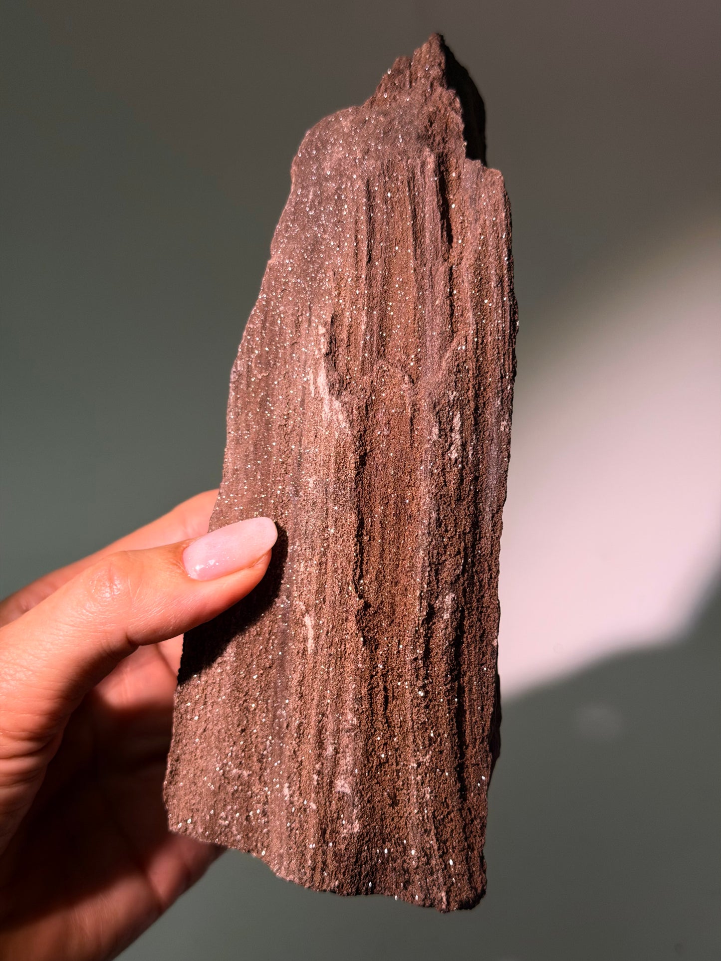 Versteinertes Holz aus Deutschland – dunkelbraunes Feenholz, 17 cm