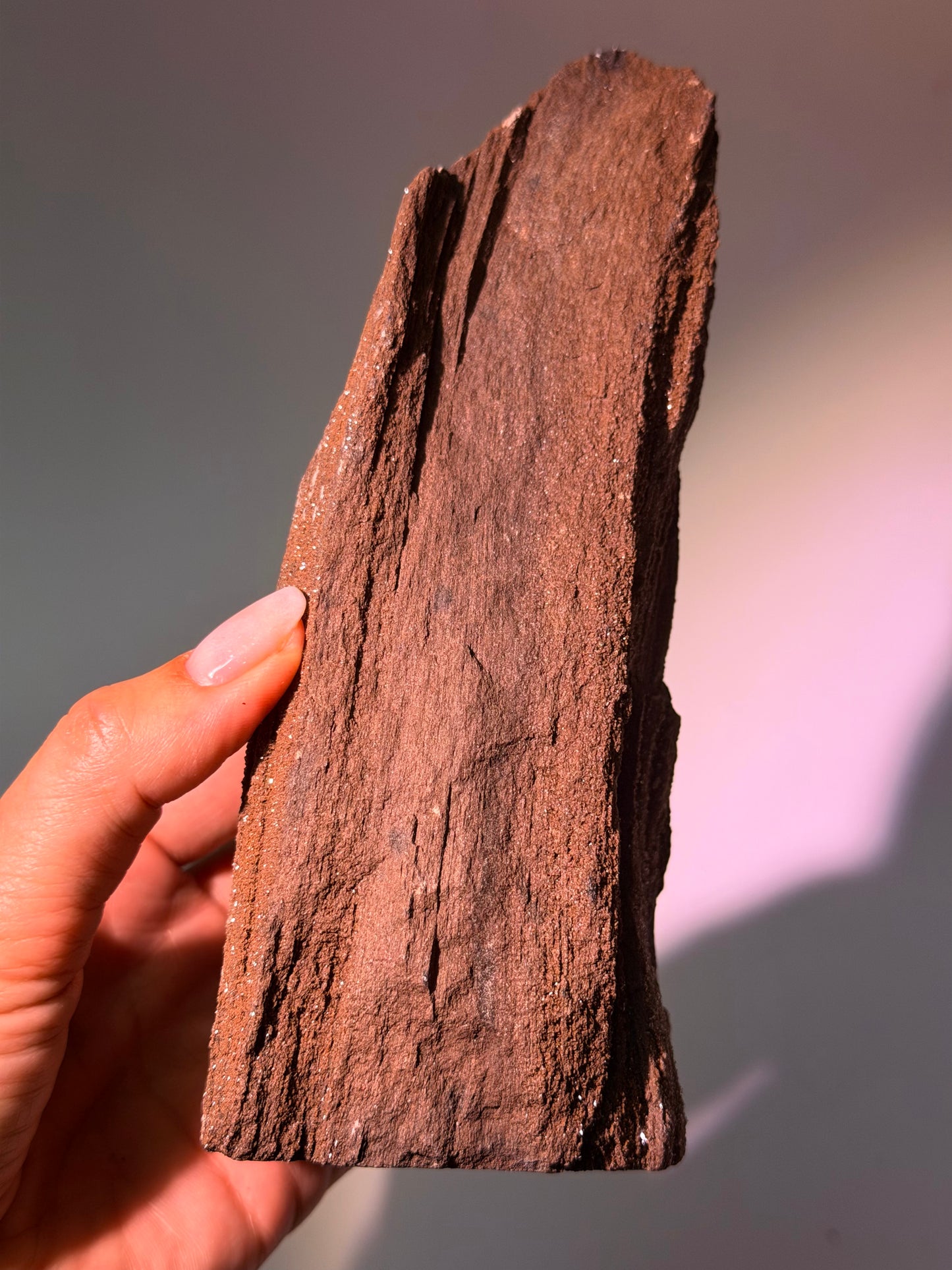 Versteinertes Holz aus Deutschland – dunkelbraunes Feenholz, 17 cm