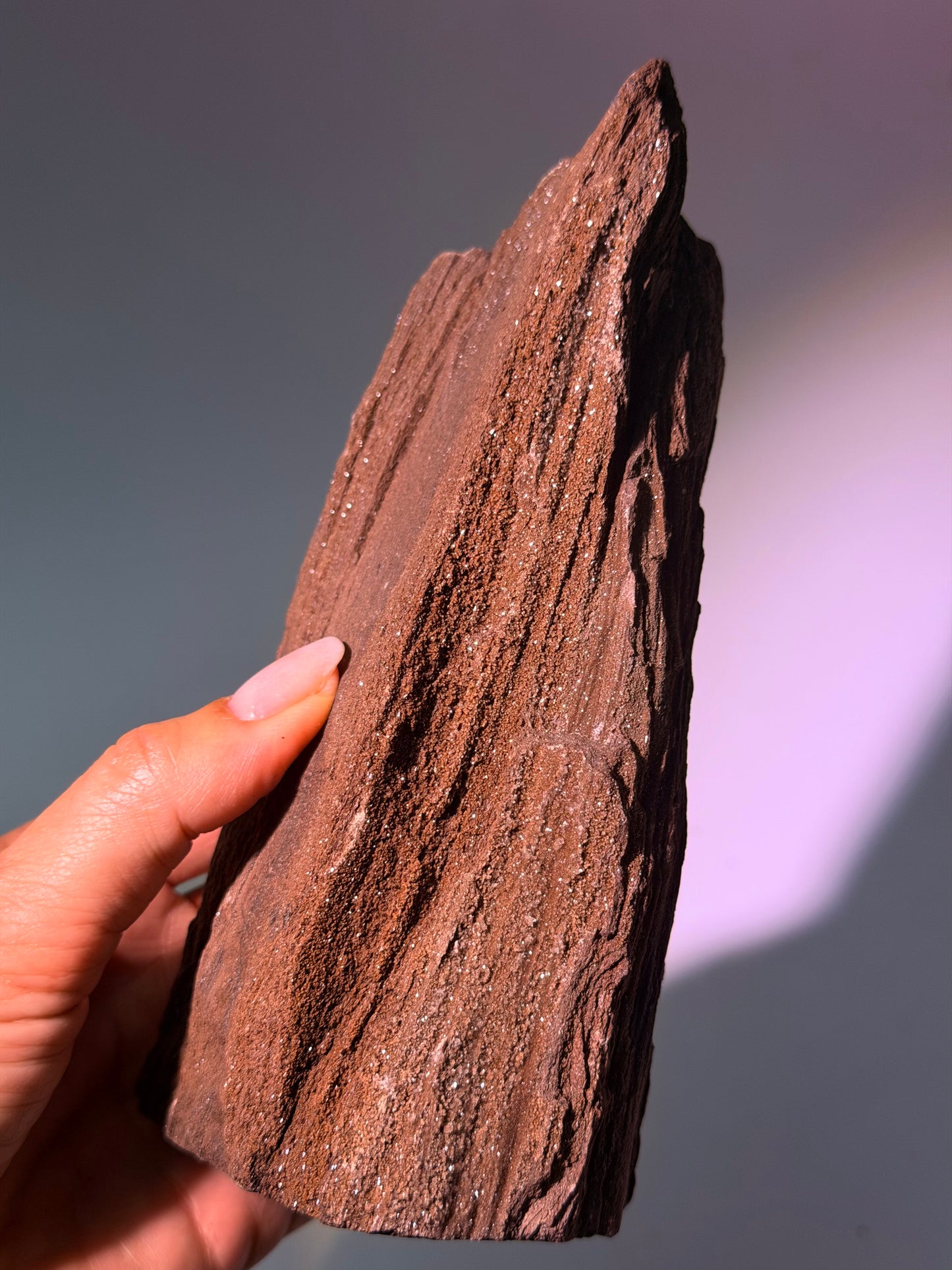 Versteinertes Holz aus Deutschland – dunkelbraunes Feenholz, 17 cm
