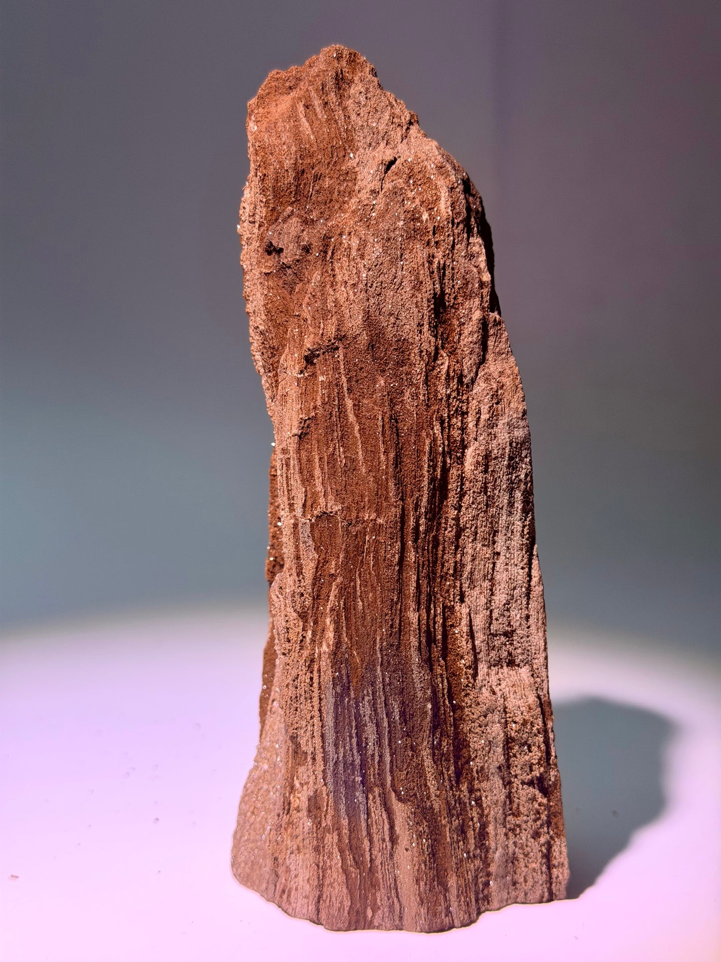 Versteinertes Holz aus Deutschland – dunkelbraunes Feenholz, 17 cm