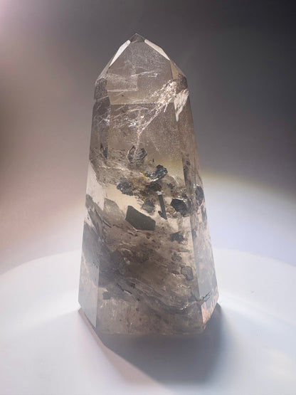 Rauchquarz mit Hämatit-Einschlüssen – Champagnerfarbenes Unikat mit schimmerndem Innenleben, 9,7 cm, 216 g