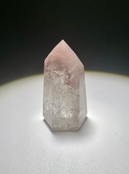 Schnuckelige Pink-Lithium-Familie 🌸 - 2 bis 4.3cm