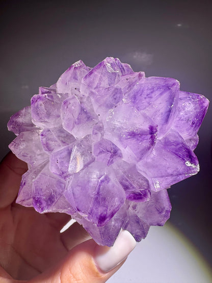 Amethystblüte aus Uruguay – 8,6 cm | Fliederfarben Premiumqualität