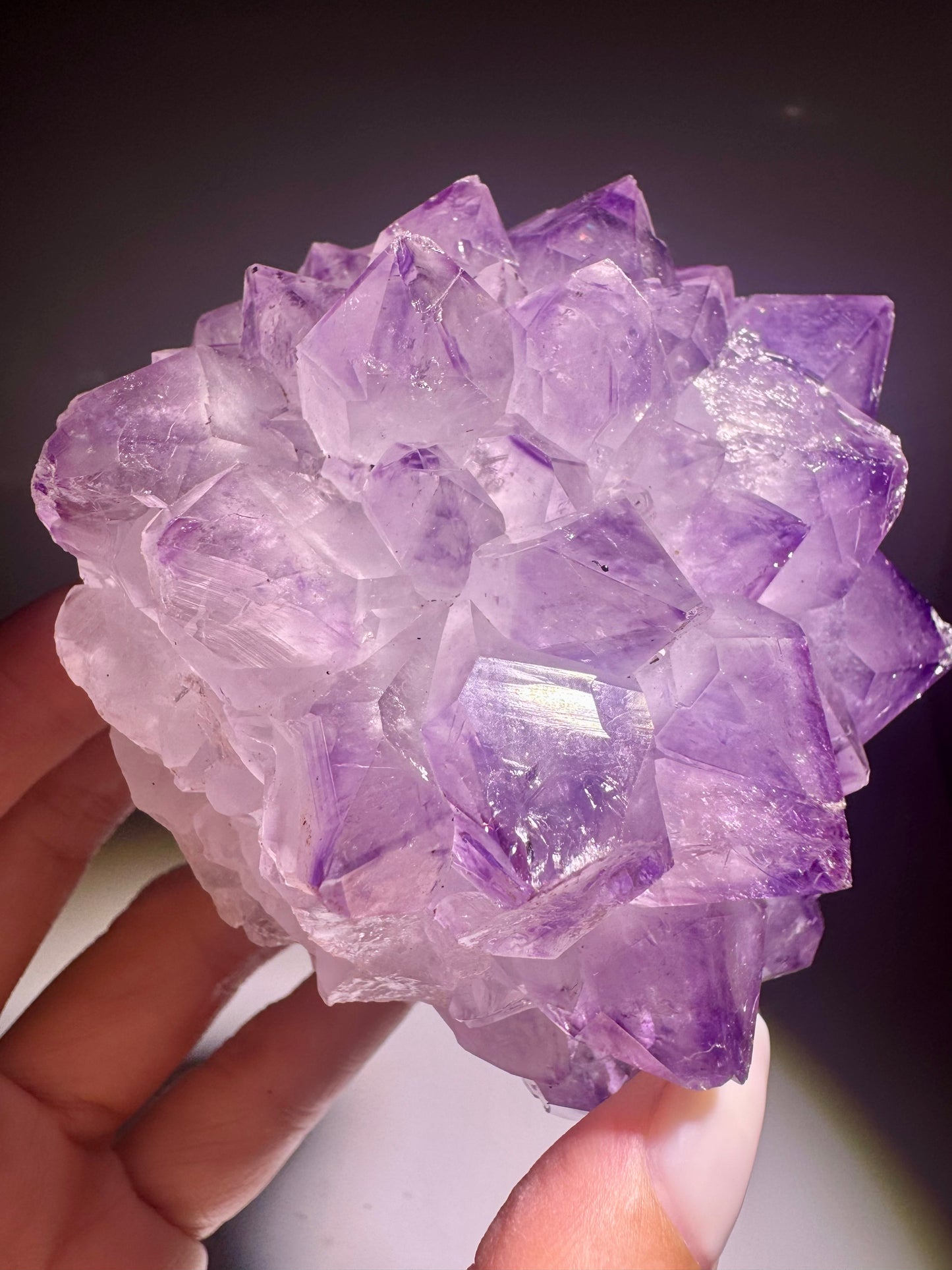 Amethystblüte aus Uruguay – 8,6 cm | Fliederfarben Premiumqualität