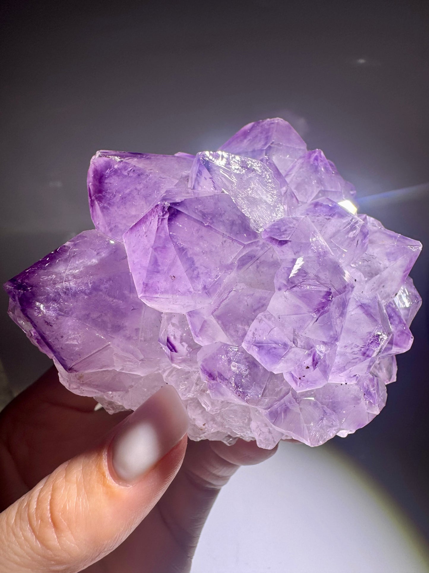 Amethystblüte aus Uruguay – 8,6 cm | Fliederfarben Premiumqualität