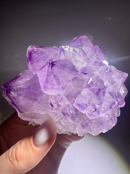 Amethystblüte aus Uruguay – 8,6 cm | Fliederfarben Premiumqualität