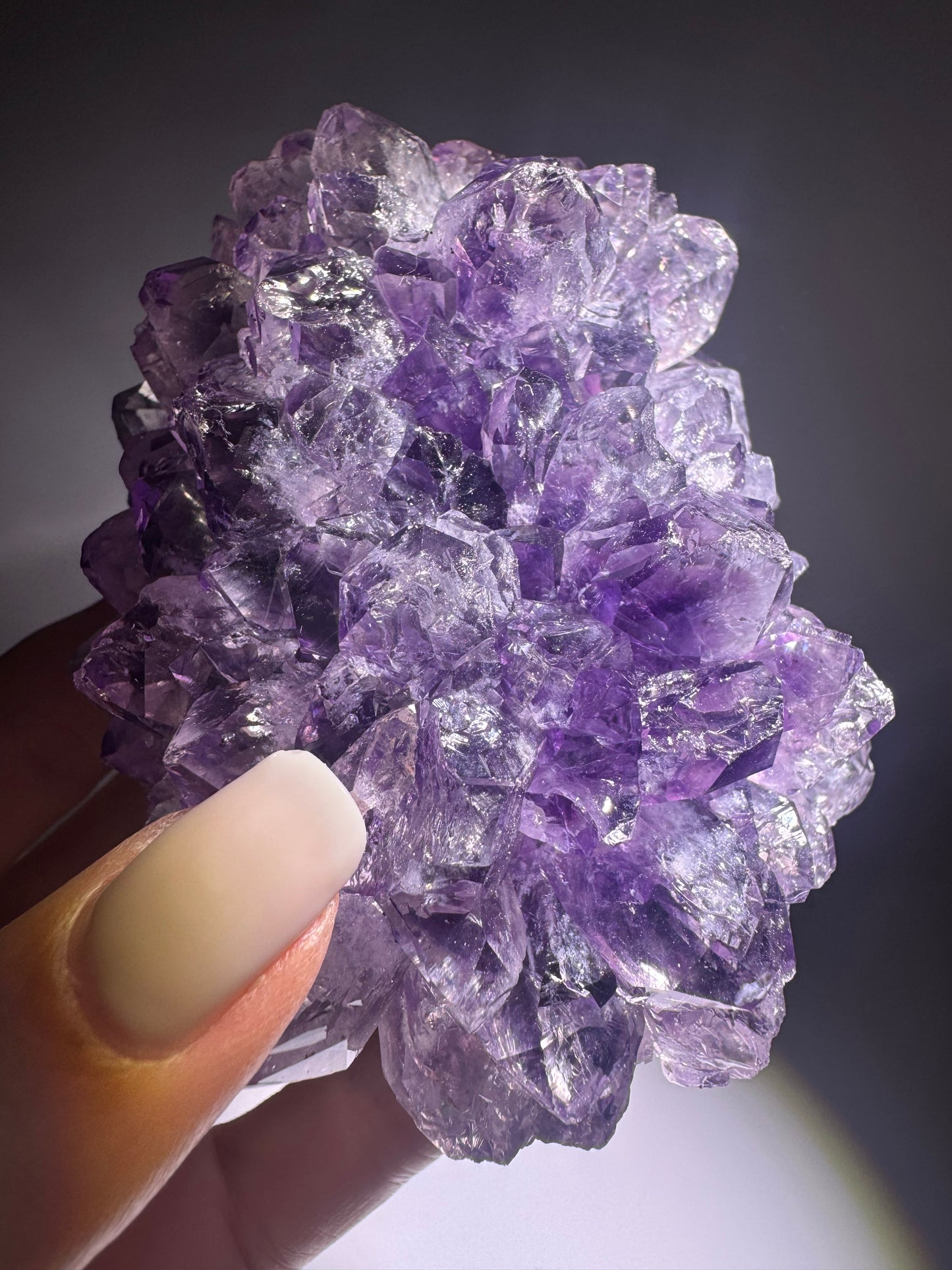 Amethystblüte 10,5 cm Uruguay – tiefviolette klare Kristalle