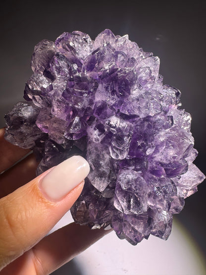 Amethystblüte 10,5 cm Uruguay – tiefviolette klare Kristalle