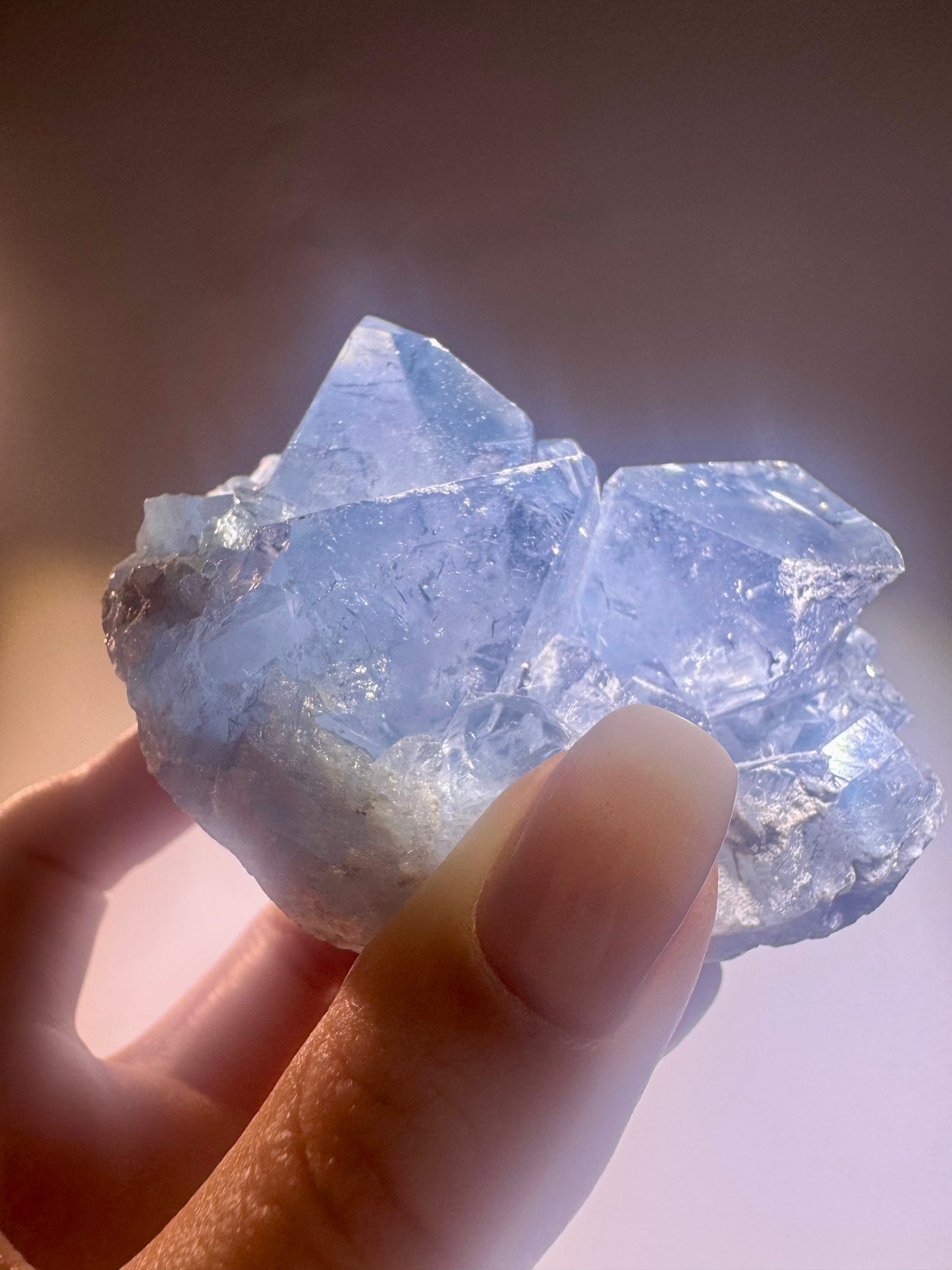 Celestin Stufe aus Madagaskar 💎 Klar & funkelnd – extra grosse Kristallspitzen ✨ Museumsqualität 7.5cm