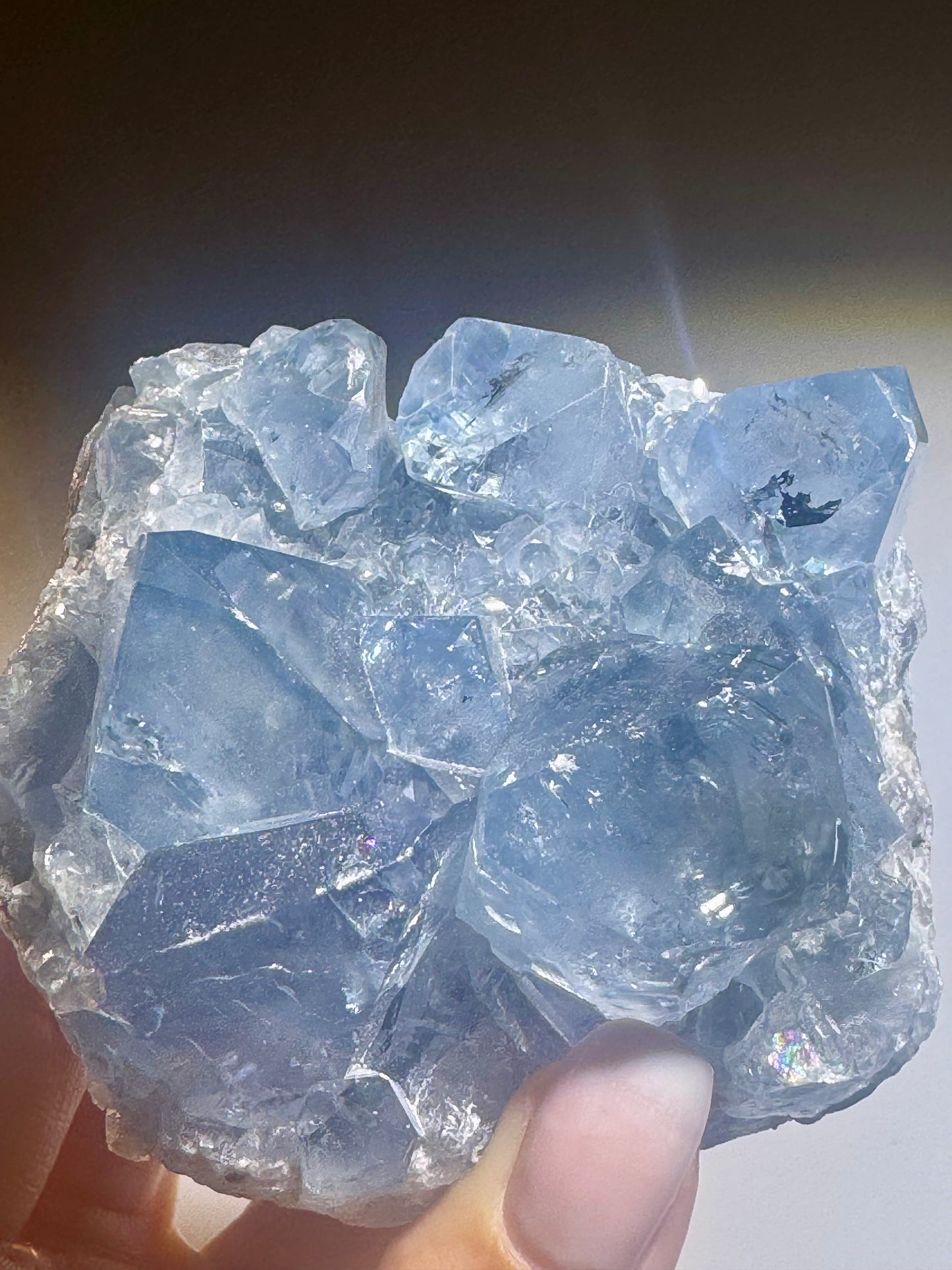 Celestin Stufe aus Madagaskar 💎 Klar & funkelnd – extra grosse Kristallspitzen ✨ Museumsqualität 7.5cm