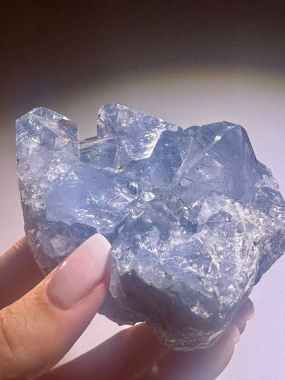Celestin Stufe aus Madagaskar 💎 Klar & funkelnd – extra grosse Kristallspitzen ✨ Museumsqualität 7.5cm