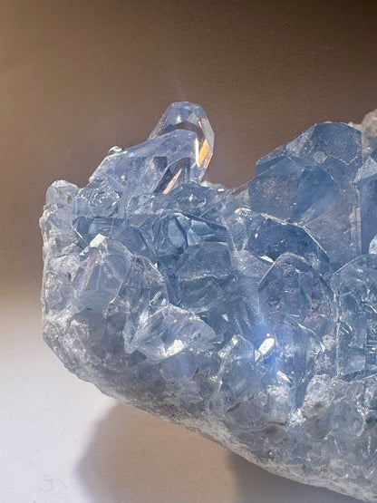 Celestin Stufe aus Madagaskar 💎 Klar & funkelnd ✨ Museumsqualität 10.2cm