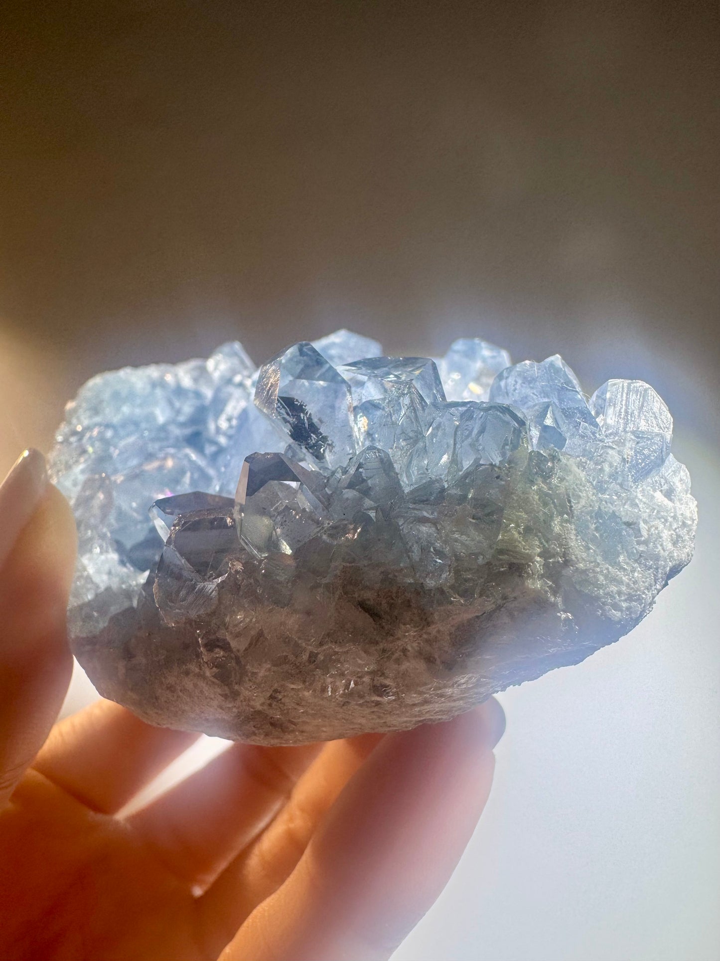 Celestin Stufe aus Madagaskar 💎 Klar & funkelnd ✨ Museumsqualität 10.2cm