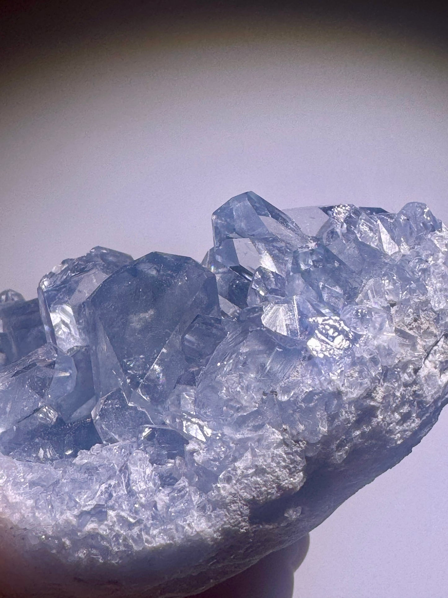 Celestin Stufe aus Madagaskar 💎 Klar & funkelnd ✨ Museumsqualität 10.2cm