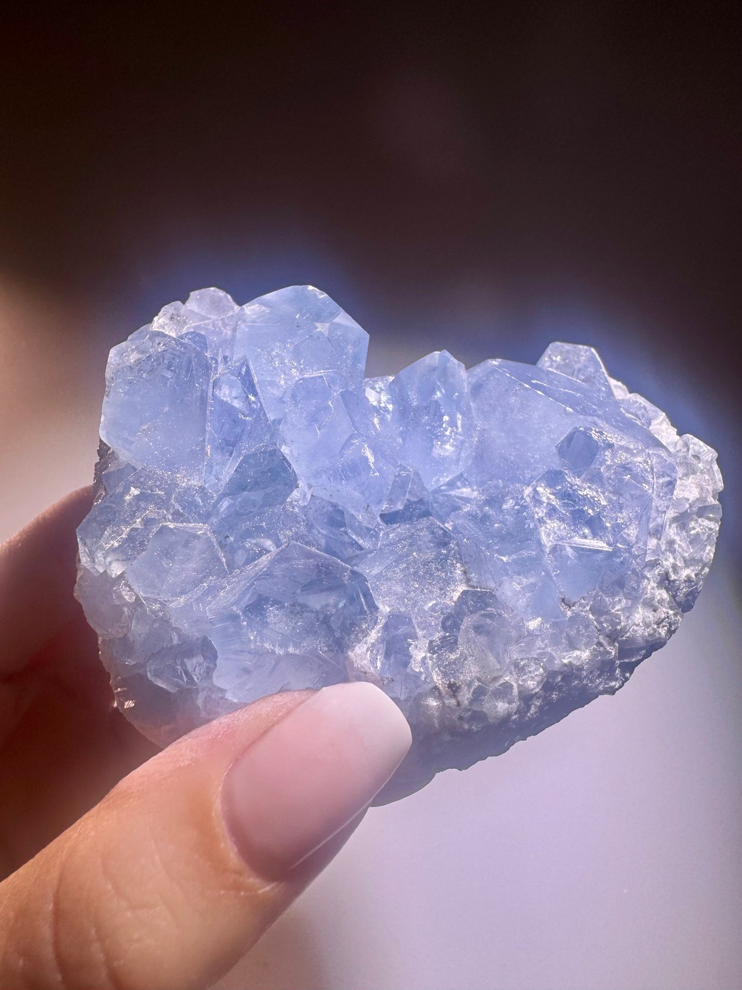 Celestin Stufe aus Madagaskar 💎 Klar & funkelnd ✨ Museumsqualität 8.3cm