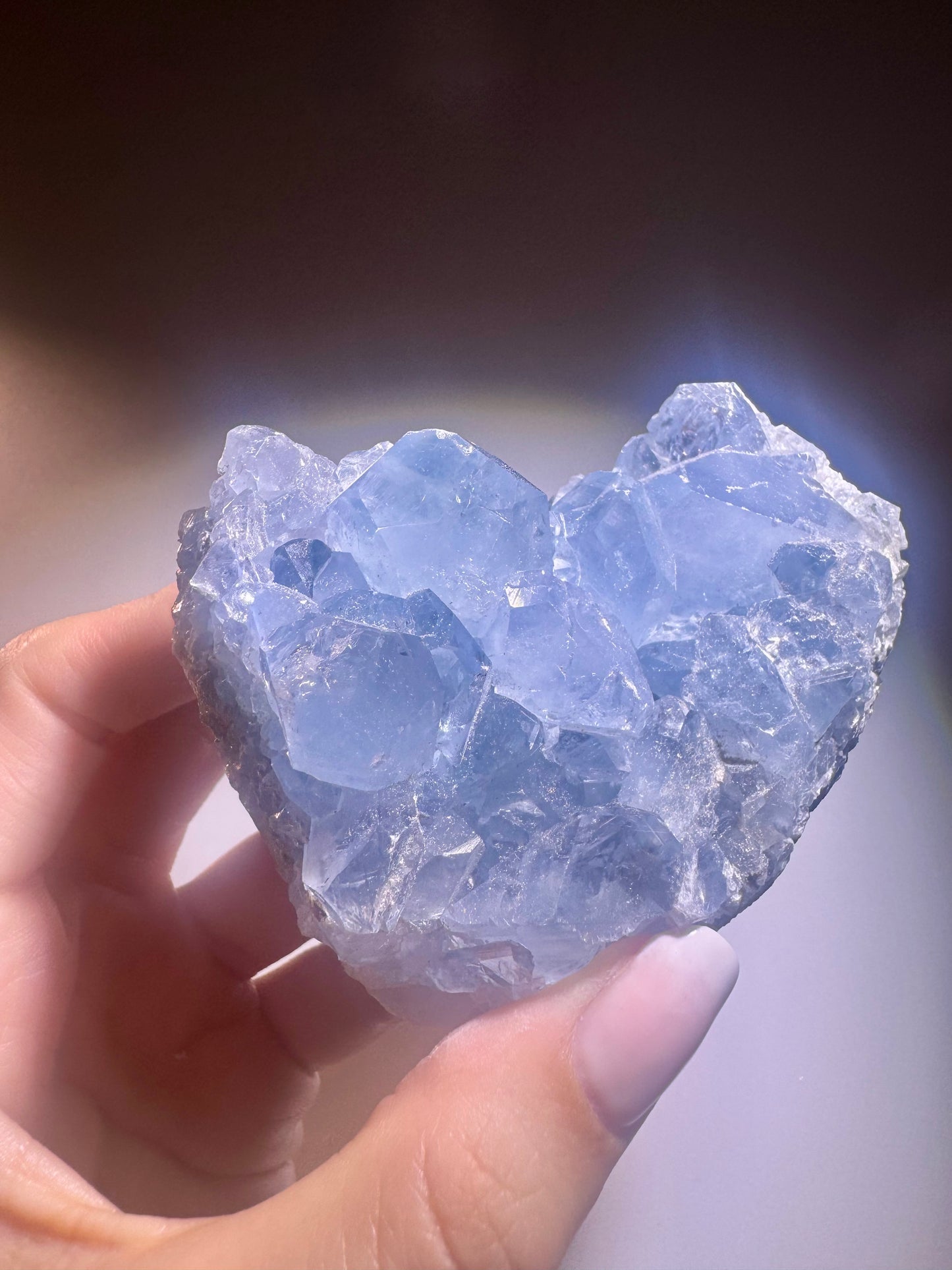 Celestin Stufe aus Madagaskar 💎 Klar & funkelnd ✨ Museumsqualität 8.3cm