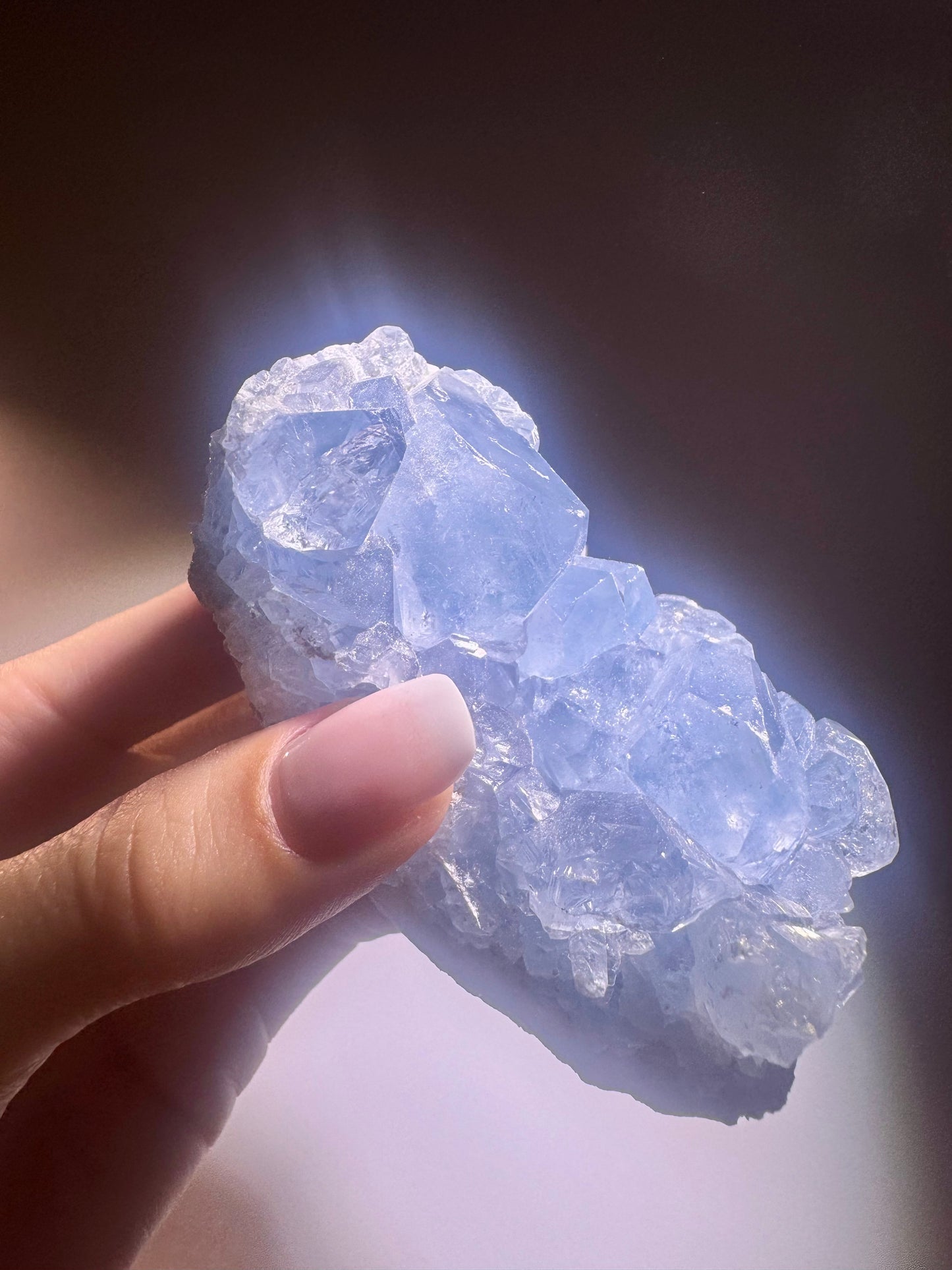 Celestin Stufe aus Madagaskar 💎 Klar & funkelnd ✨ Museumsqualität 8.3cm