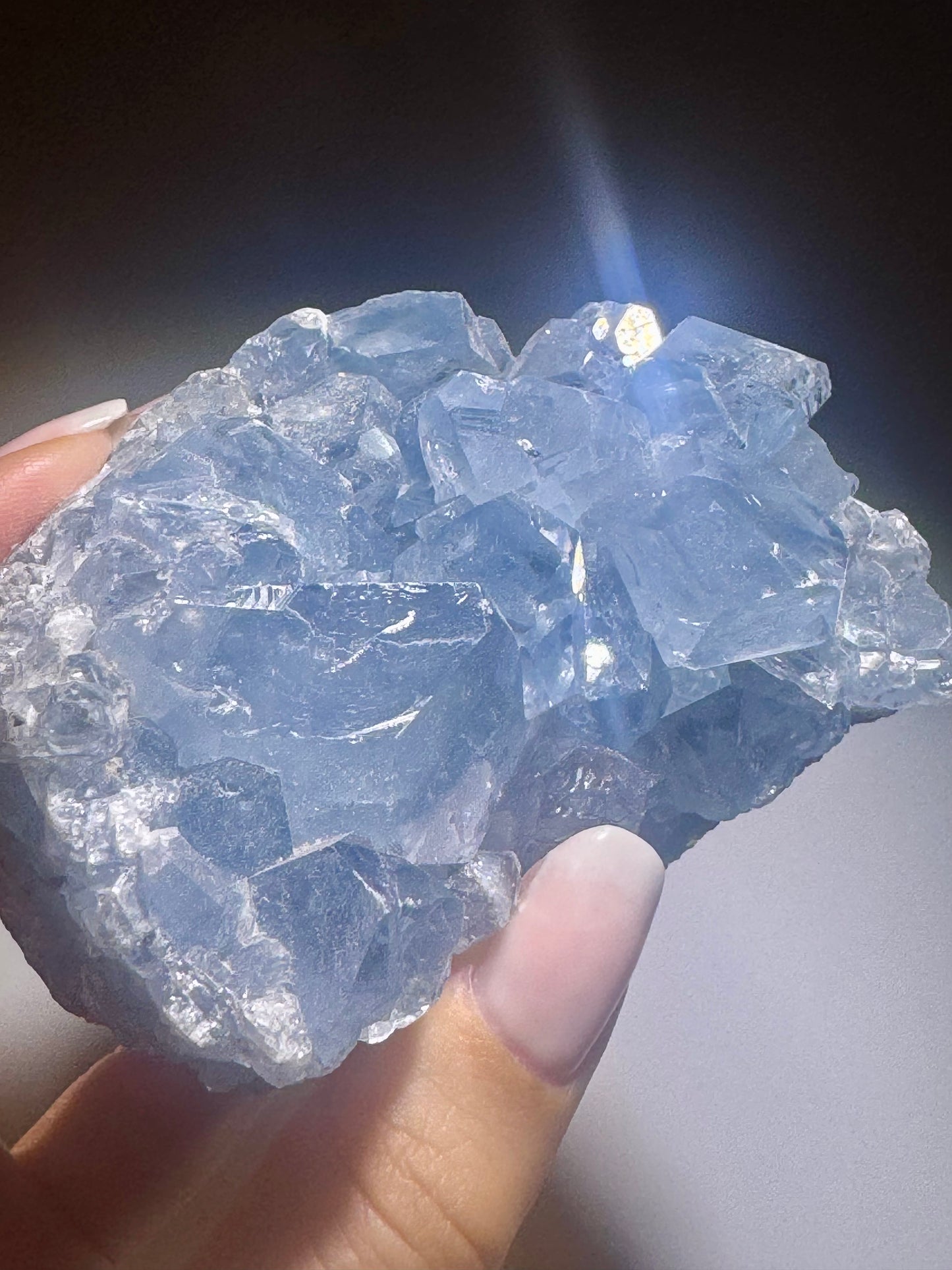 Celestin Stufe aus Madagaskar 💎 Klar & funkelnd ✨ Museumsqualität 8.3cm
