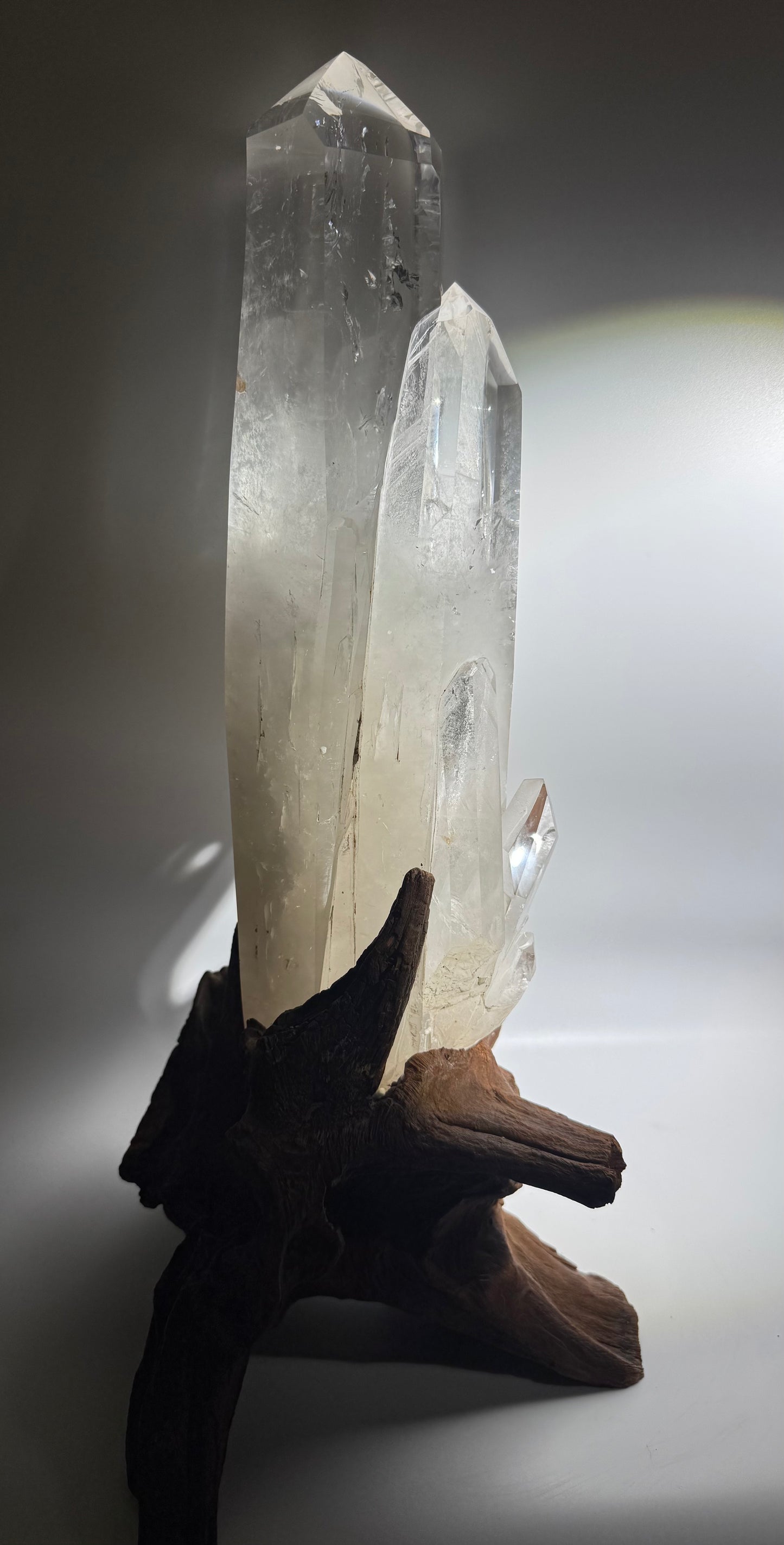 Monumentale Bergkristallspitze mit Babyspitzen – 52 cm Statement Piece