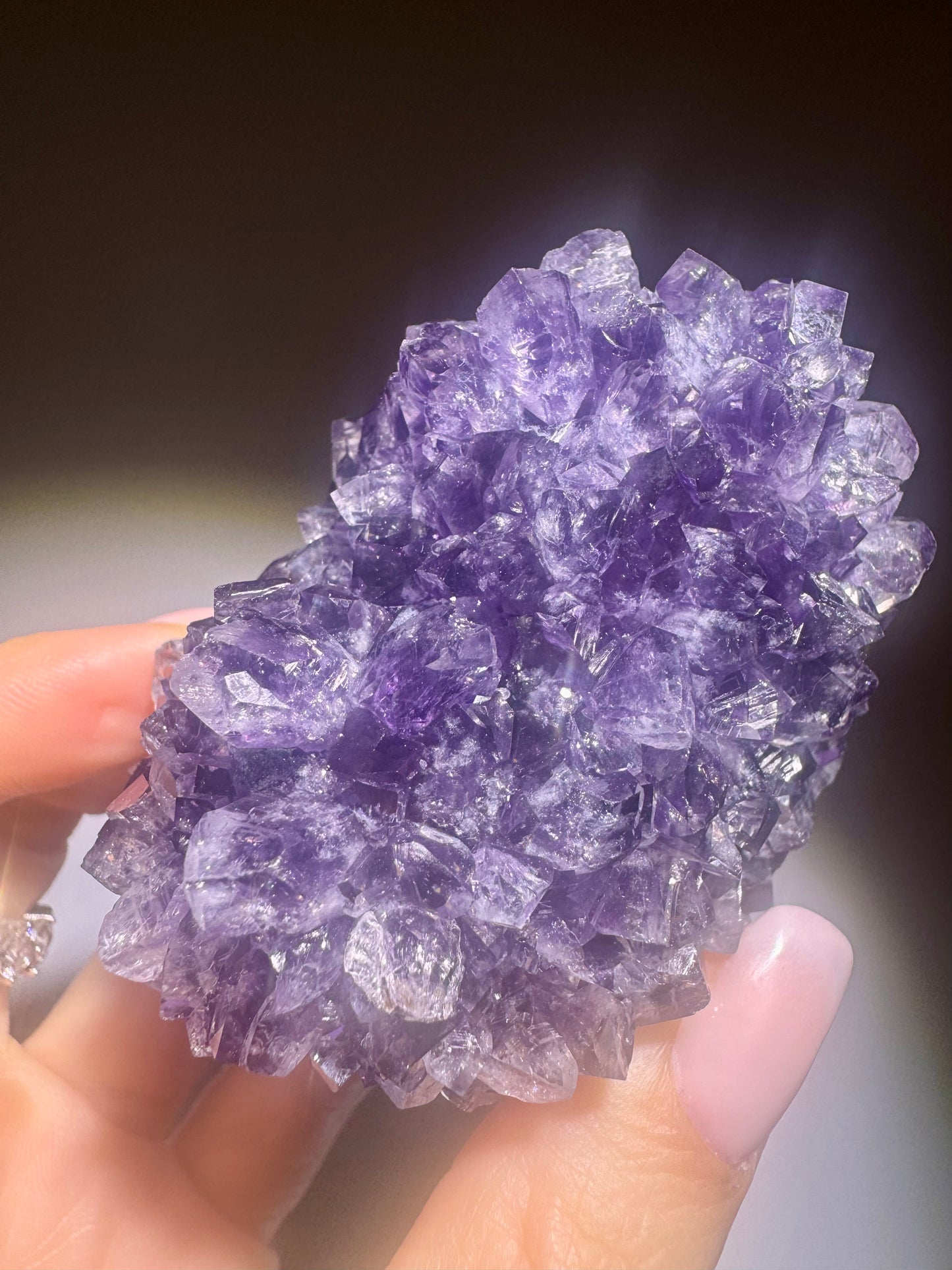 Sammler-Amethyst 7x5.5 cm  – Natürliche Kristallblüte aus Uruguay