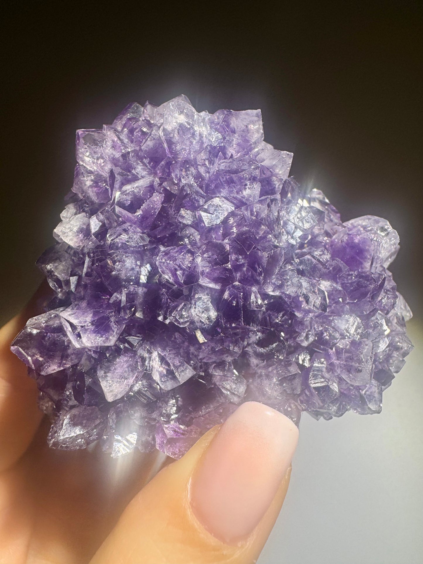 Sammler-Amethyst 7x5.5 cm  – Natürliche Kristallblüte aus Uruguay